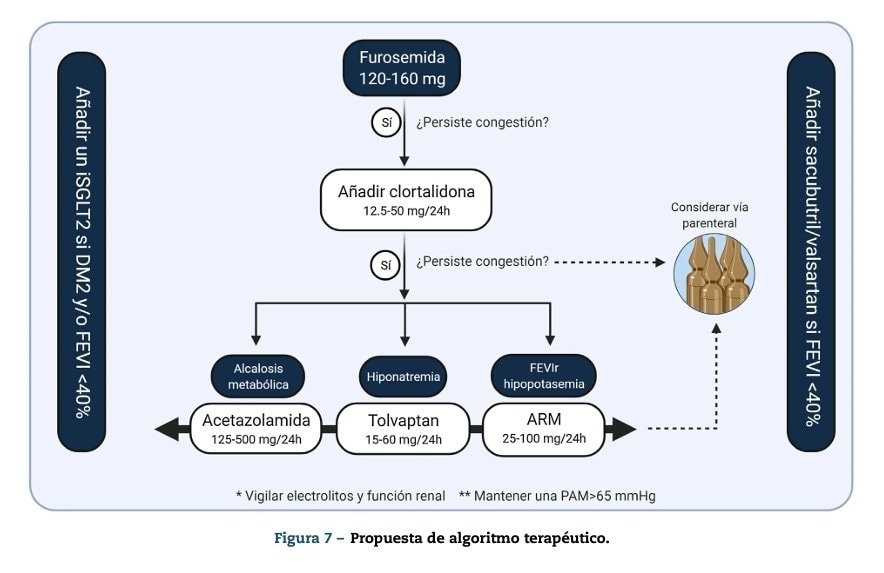 Quantification and Treatment of Congestion in Heart Failure: A Clinical and Pathophysiological Overview
revistanefrologia.com/en-quantificat…
 #MedEd #CardioEd #CardioTwitter #Cardiogen #cardiology
