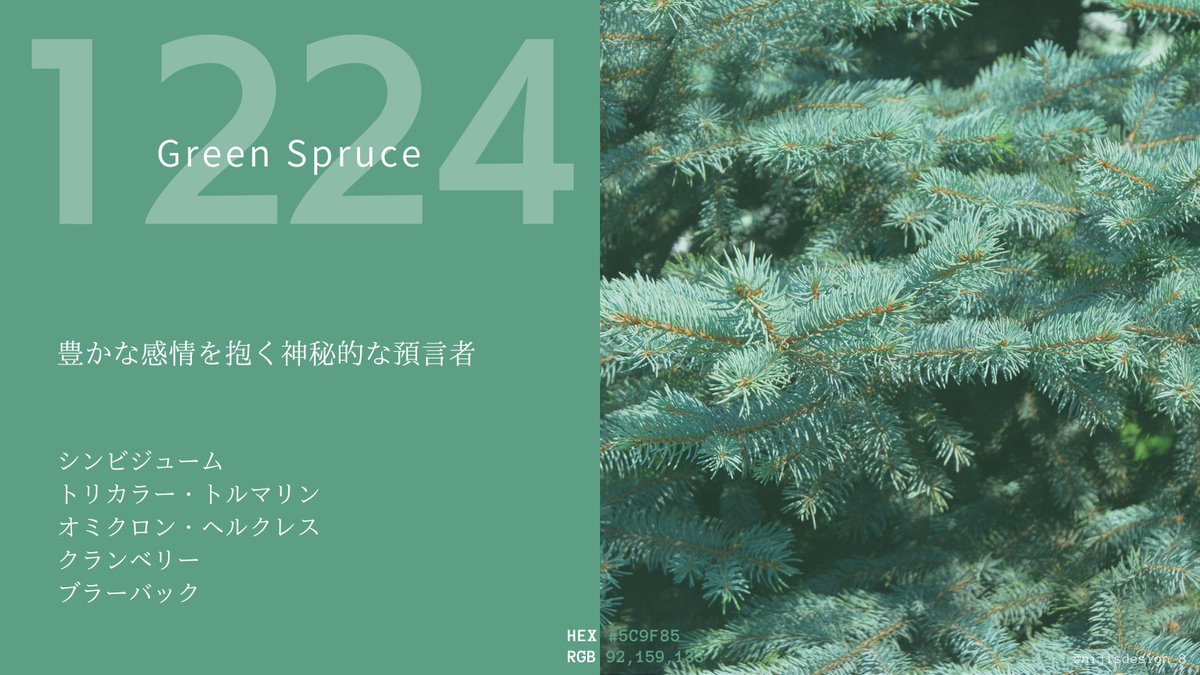 【バースデーカラー】今日ってどんな日？   

上から 
誕生花、誕生石、誕生星、誕生果、誕生酒   

素敵な一年になりますように…！