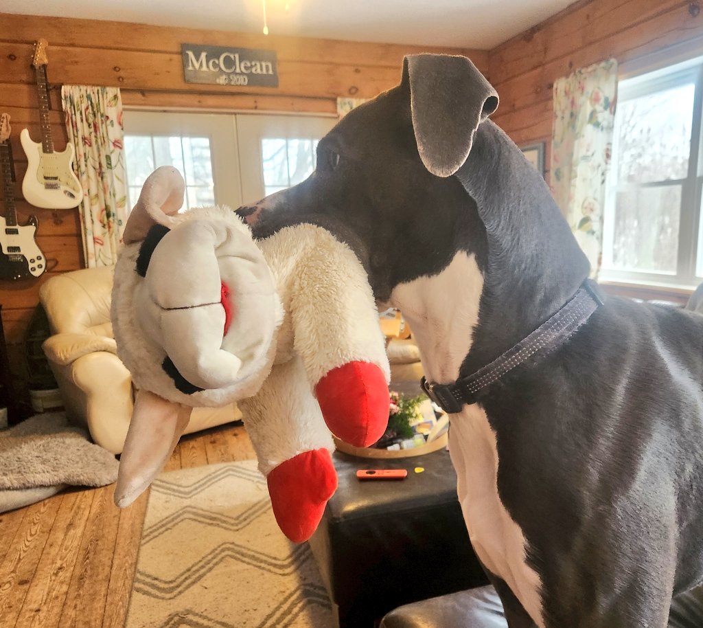 #KanetheDane tweet media