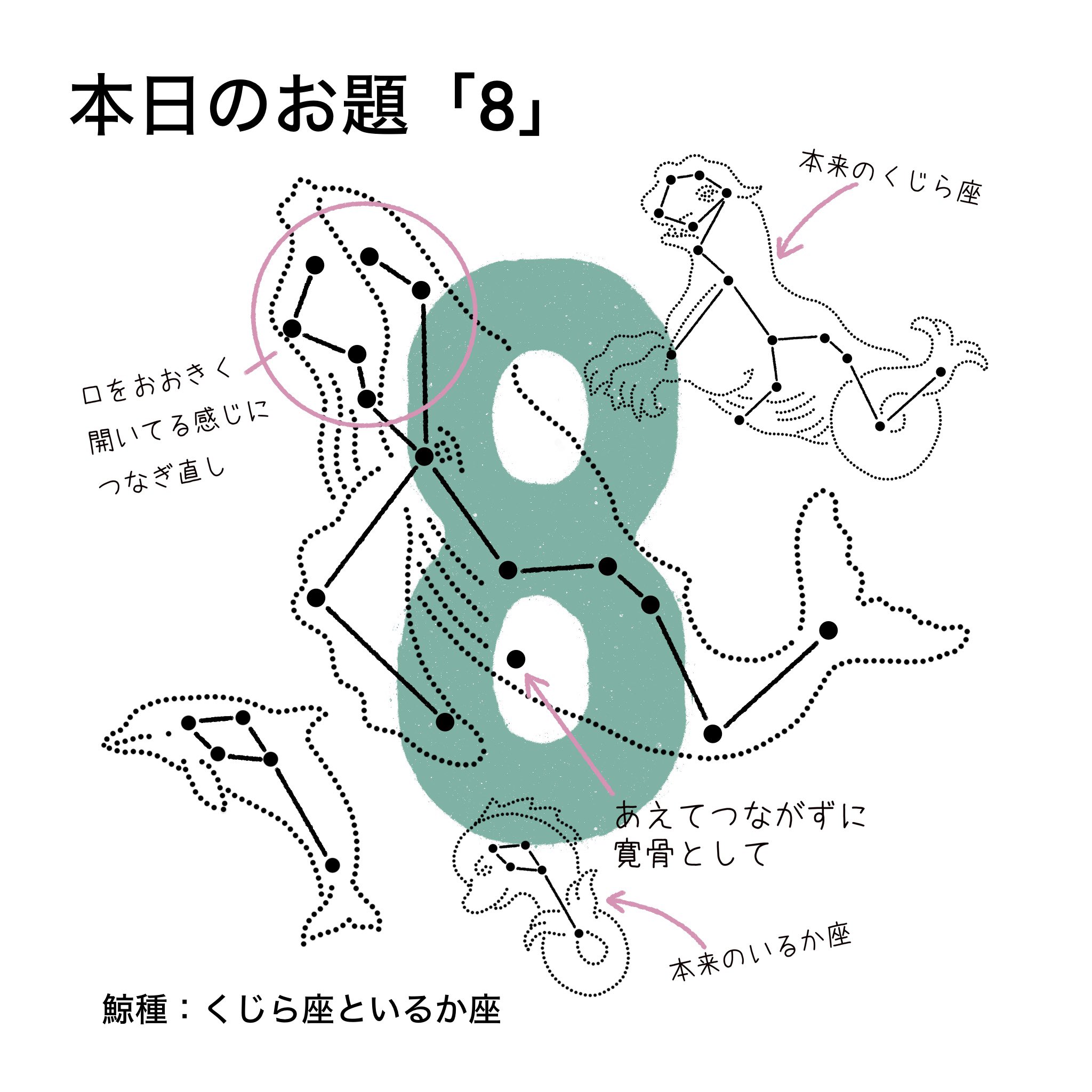 あらたひとむ🐋クジラ・イルカの雑学図鑑📖 (@aratahitom) / X