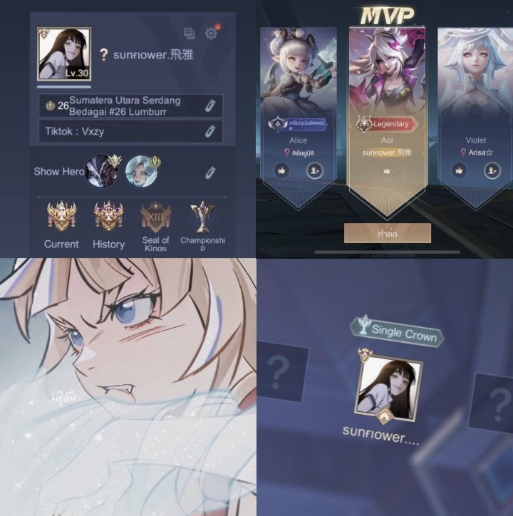 มีแฟนเมนอ้อยยอะยางงง
#จะทำความรู้จักกับด้อมrovที่มารีทวิต