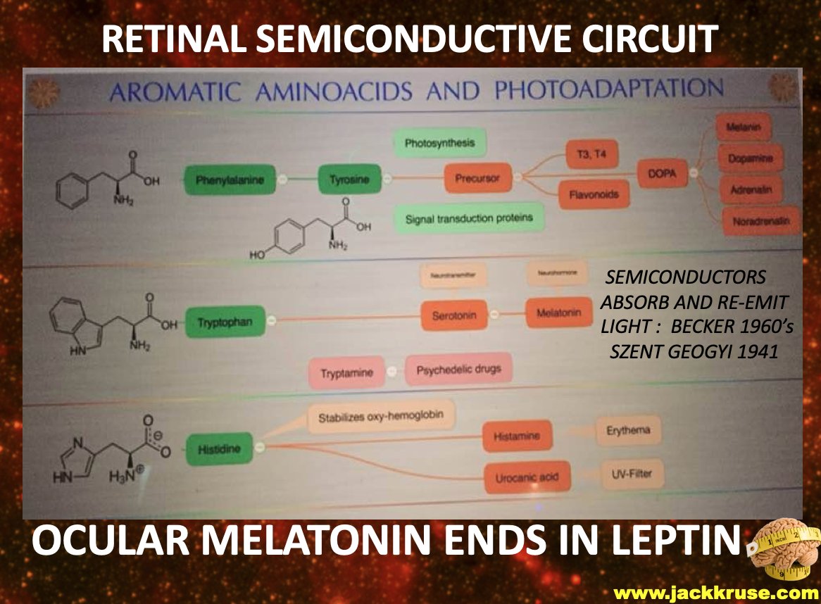 John Kruse tweet media
