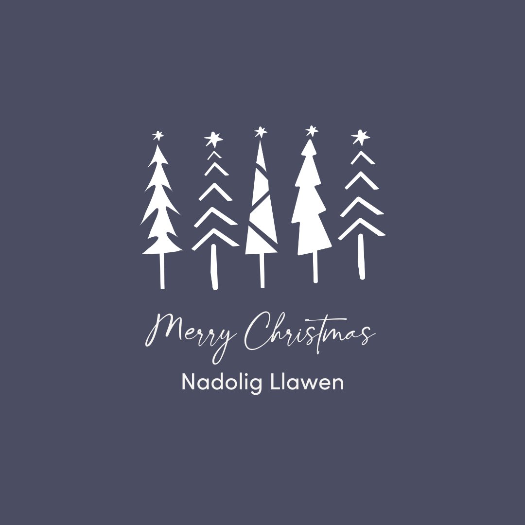 Nadolig Llawen i chi gyd - where and who ever you are with, wishing you a lovely Christmas 🎄