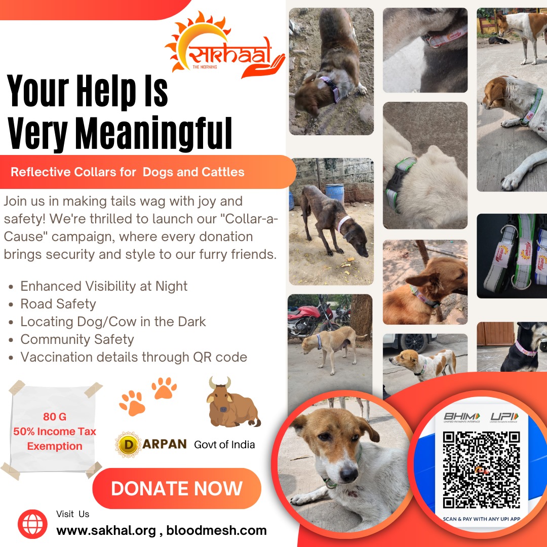 Sakhal (@sakhalngo) on Twitter photo Join us in making tails wag with joy and safety! We're thrilled to launch our "Collar-a-Cause" campaign, where every #Donation brings security and style to our furry friends
#reflector #collar #dog #straydog #cattle #safety #Accidentfree <a href="/NITIAayog/">NITI Aayog</a> #Hyderabad #QRcode #Paws Join us in making tails wag with joy and safety! We're thrilled to launch our "Collar-a-Cause" campaign, where every #Donation brings security and style to our furry friends
#reflector #collar #dog #straydog #cattle #safety #Accidentfree <a href="/NITIAayog/">NITI Aayog</a> #Hyderabad #QRcode #Paws