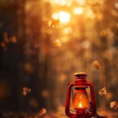 Muhammed Seçkin tweet media