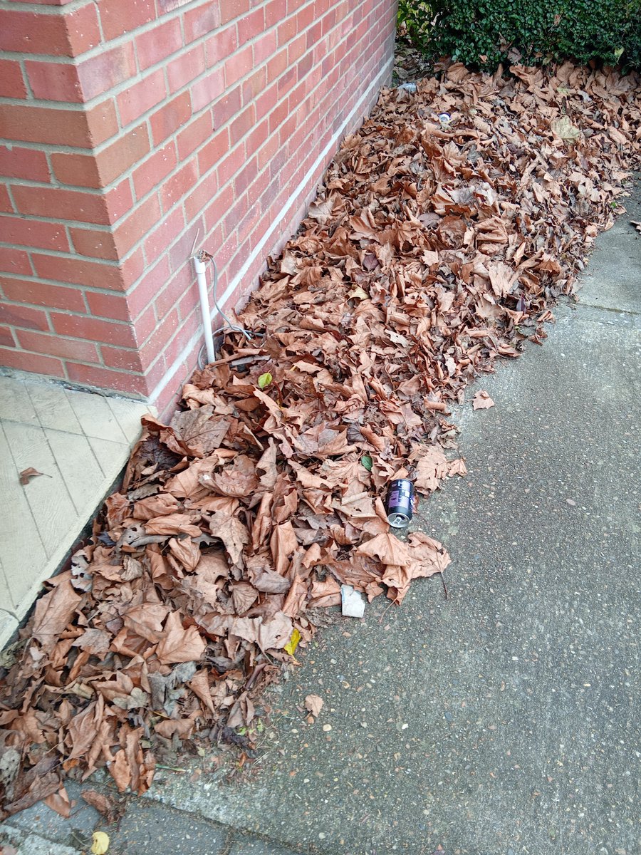 ColinNev MHR tweet media