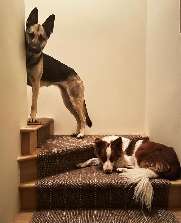 From our family to yours, Merry Christmas ❤️

-the Brown-Underwoods