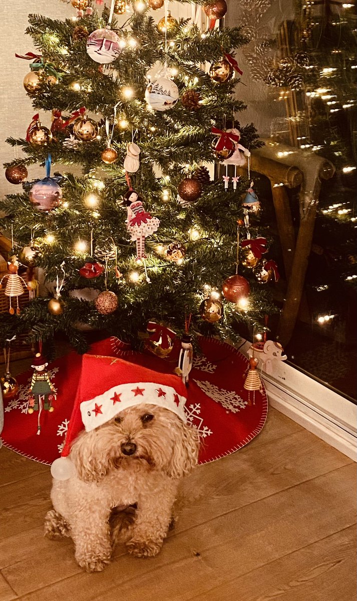 I wish you all out there a peaceful Xmas, totally aware that this year this might be even more unrealistic to achieve but not yet giving up on humanity. So enjoy your time with family and friends, laugh, drink, overeat, sing and dance. ❤️