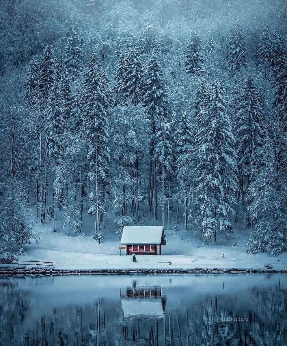 earthcurated's tweet image. Christmas in the Italian alps yes or no ? 🎄✨❄️