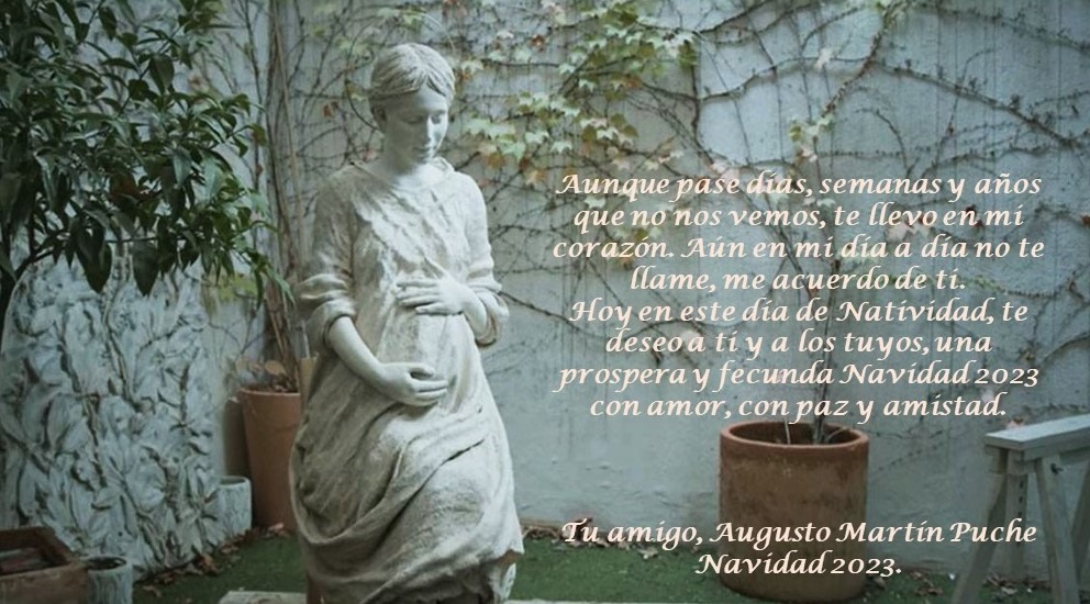 Aunque pase días, semanas y años que no nos vemos, te llevo en mi corazón.
Aún en mi día a día no te llame, me acuerdo de ti.
Hoy en este día de Natividad, te deseo a ti y a los tuyos, una prospera y fecunda Navidad23 con amor, con paz y amistad.
Tb por los que vuelan en el cielo