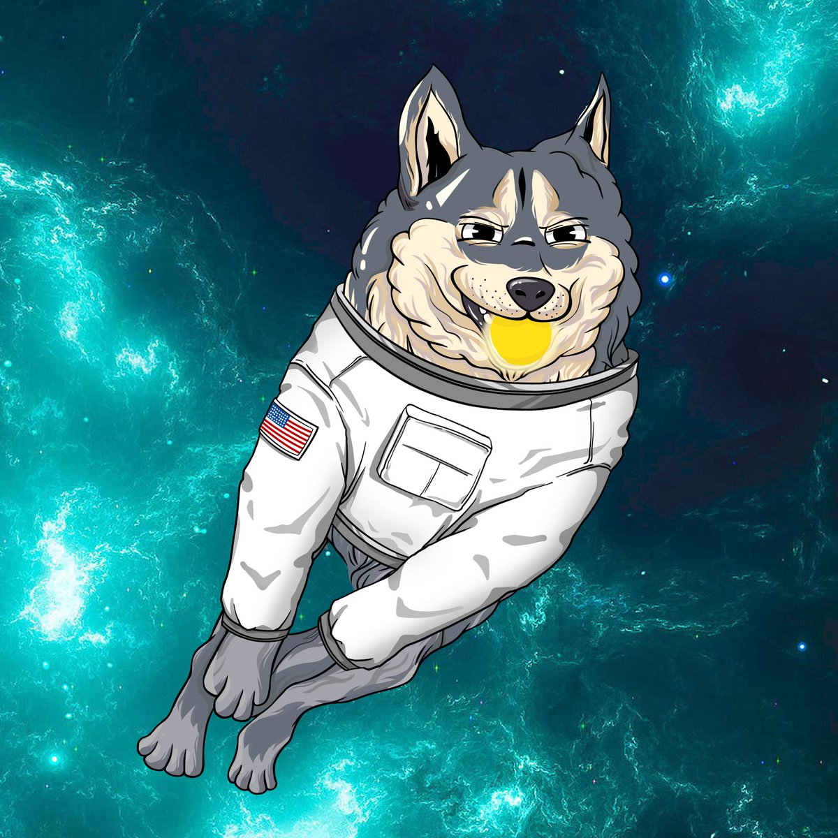 catalina tweet media