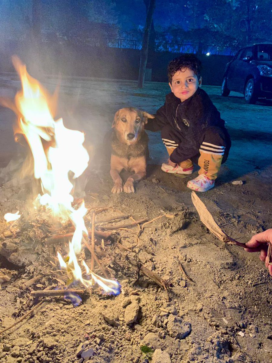 TheViditsharma's tweet photo. Kids are naturally compassionate towards animals! It's crucial to instill kindness early on. Always teach your little ones to be gentle and loving with our furry friends. 

Here's a heartwarming moment with my adorable nephew and his new furry pal. 

❤️ #CompassionateKids #FurryFriend