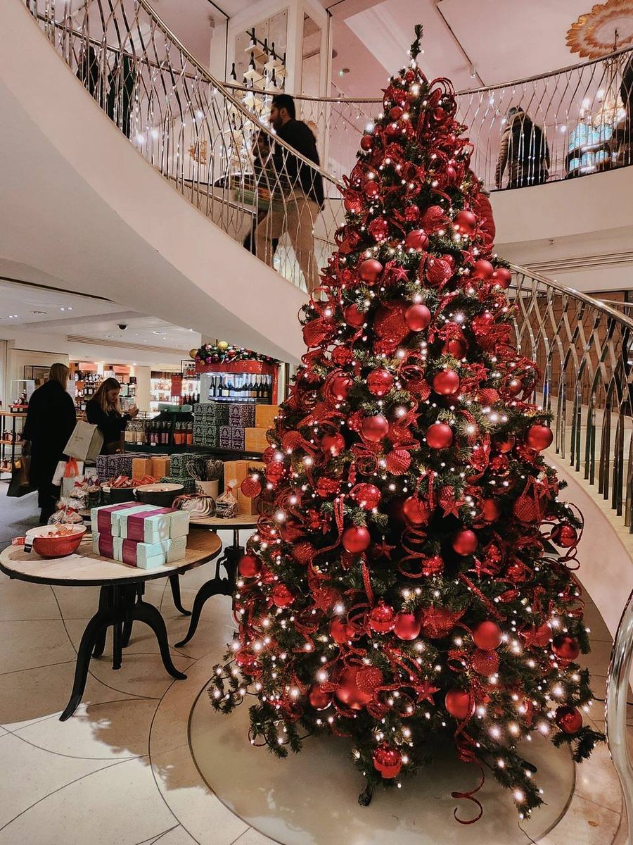 roses in the castle tweet media