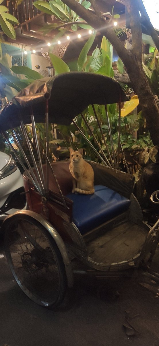 Житель Чиангмая