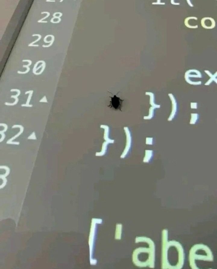 emmanuel_dev22's tweet photo. BUGS IN APPLICATIONS.

Sometime last year, my tech-lead at @cudium, @killcodeNG, made a statement that sounded really weird to me. He said "I Love bugs, it allows me learn more".
It didn't make any sense to me at the time, but i kept it in mind and decided to adopt same mentality https://t.co/Ob2lA1PlJu