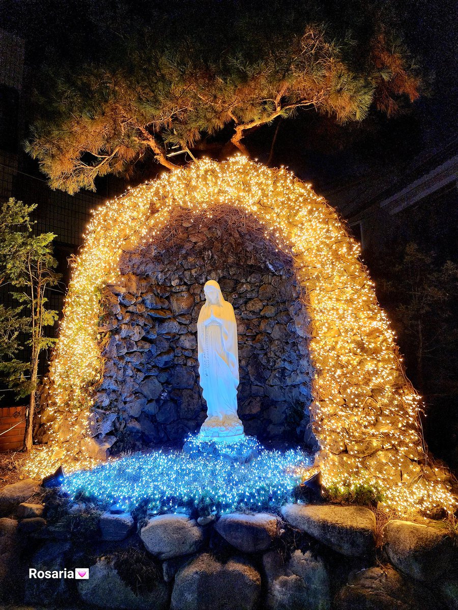 하늘에는 영광 땅에는 평화
찬미 예수님♡

나의 트친님들 한 분 한 분 또 여러분
빌고 또 빌었습니다.
건강하게 하여 주시옵고,
행복한 웃음 주시옵고,
무조건 덜 아프게 하여 주시옵고
사랑하고 사랑받게 하여 주소서
주님~저의 기도를 들어주소서🙏🙏
#MerryChristmas2023
