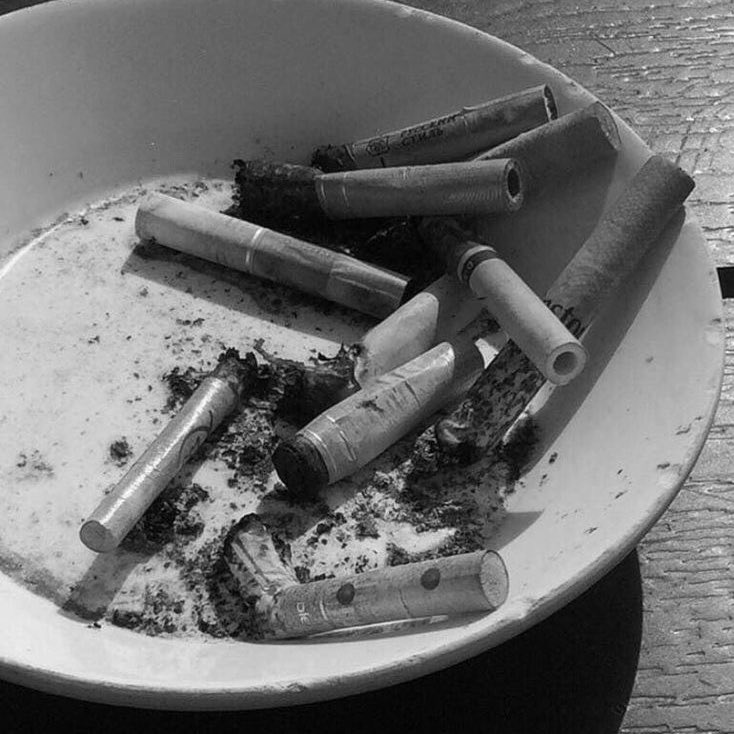 ㅤ
говорят, что вразрез сухожилие на морскую похоже флотилию. 

ㅤ