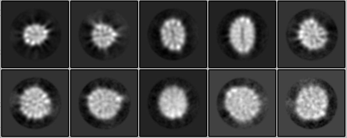 Israel Fernandez tweet media