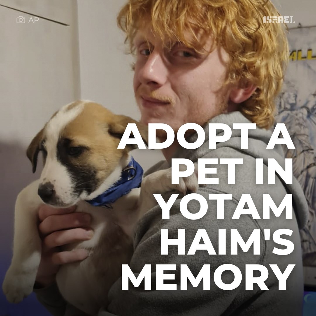Israel's tweet photo. "Animals gave him (Yotam) a lot of confidence and if you want to do something good for Yotam, you can adopt a cat, a dog, a turtle, a fish, some kind of animal."

Yotam who was held hostage in Gaza by Hamas and killed by IDF soldiers in a tragic accident, loved animals. 

His mother Iris is asking individuals to adopt animals in Yotam's memory.

#AdoptForYotam