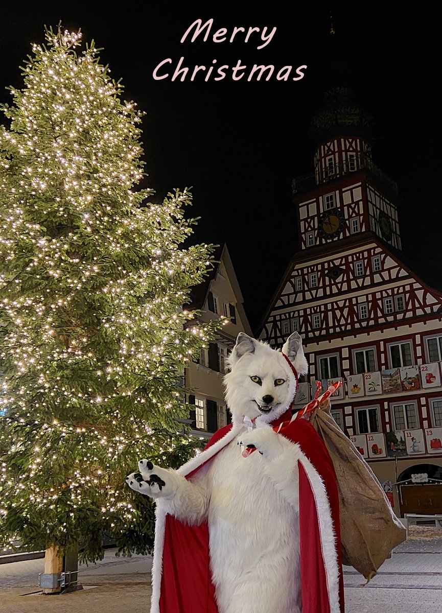 Merry #Christmas 🎄 to all my friends and followers. ✂️ @Sharpecostumes 📸 @AkiThePup 🏙 #Kirchheim / #Teck 🇩🇪 #Fröhliche #Weihnachten #Kerstfeest #Xmas #Wolf #Kerst #Weihnachtsbaum #Tannenbaum #Furry #Fursuit #holiday #happy Follow my Berk-News (TG): t.me/Berk_News