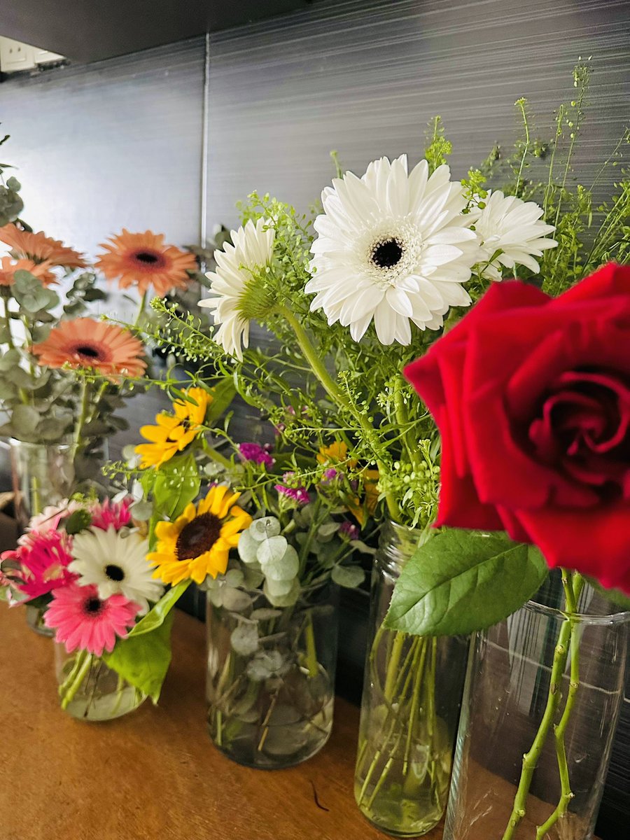 nowhereland4's tweet photo. Fresh faces😊

#nowhereland #freshflower https://t.co/QFJEQ0xcrc