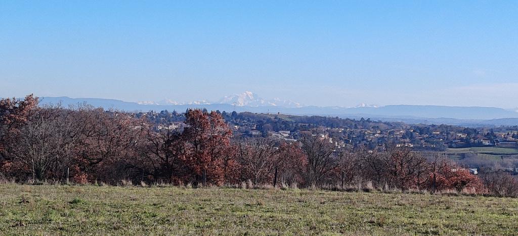 Le géant des Alpes vous souhaite un joyeux Noël.

Vue depuis les Coteaux du Lyonnais.
