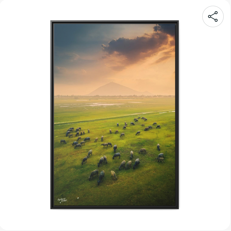 ngkhanhvukhoa's tweet image. herd of buffaloes in the afternoon fields - Tay Ninh
vietnam-photo.printify.me/product/446702…
#tayninh #rural #vietnam #print