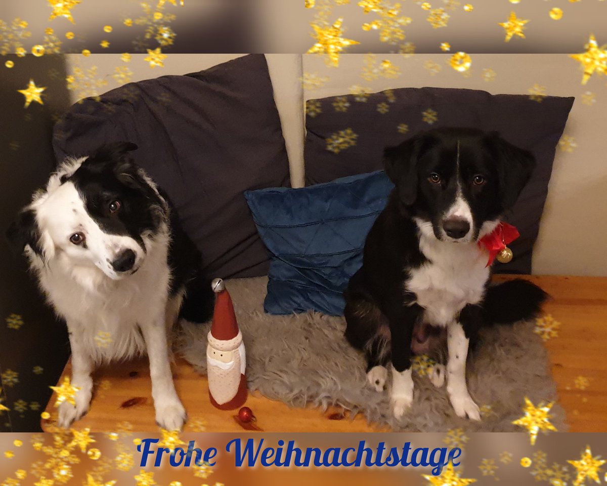 Wir wünschen euch frohe Weihnachten 😊🎄