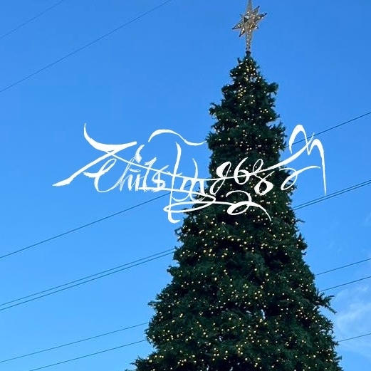 FZhaozu's tweet image. 🌟圣誕快樂
🎄Christmas 2023