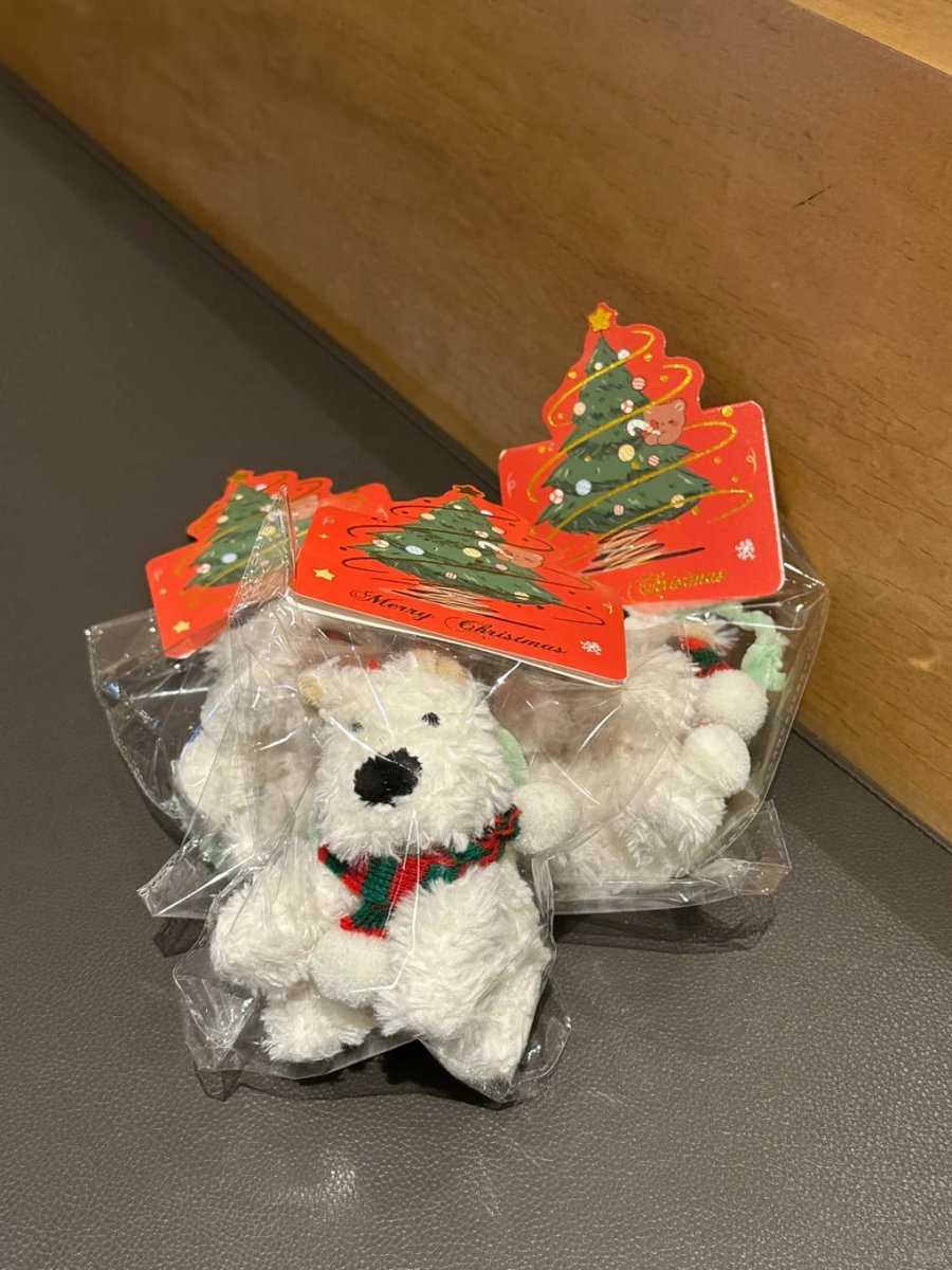 Basupaudel7's tweet image. The Christmas look in West Highland🎄✨ is so atmospheric💗💗