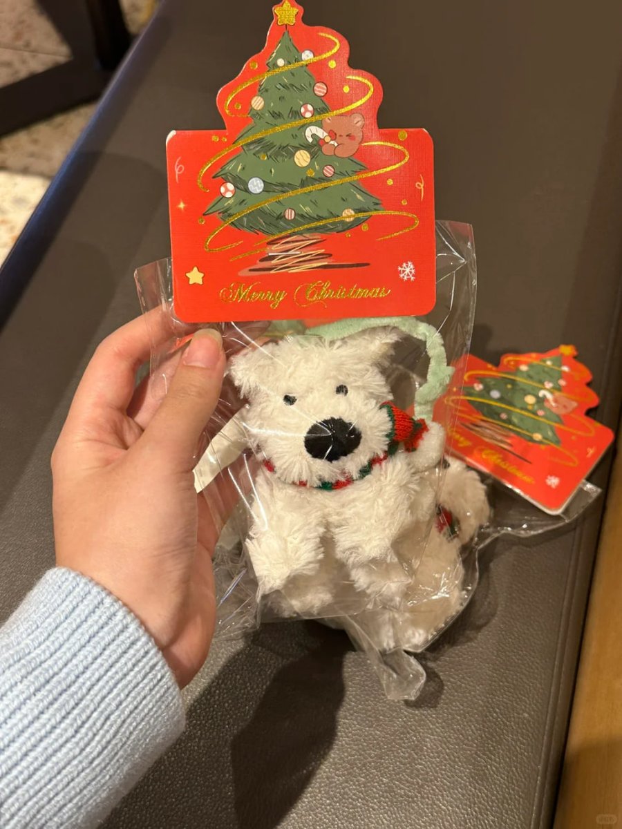 Basupaudel7's tweet image. The Christmas look in West Highland🎄✨ is so atmospheric💗💗