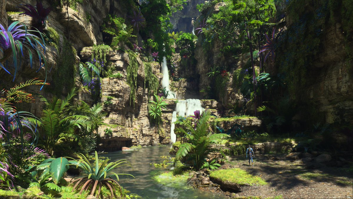 XboxVP's tweet image. The gorgeous world of Pandora.
#VirtualPhotograpy #AvatarFrontiersOfPandora #XboxSeriesX