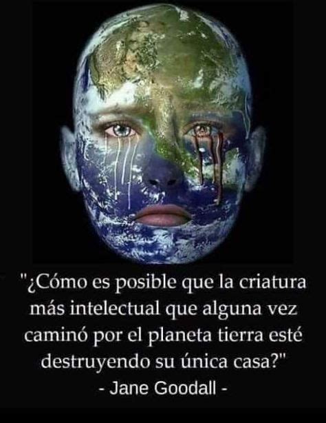 Felices Fiestas a todos los defensores de la biodiversidad,ecologistas ,activistas encarcelados ,maltratados y mal llamados terroristas 
Lucharemos sin tregua por nuestro planeta porque es el único que tenemos 
#NoHayPlanetaB 
#SinBiodiversidadNoHayVida 
#LaInacciónNoEsUnaOpción