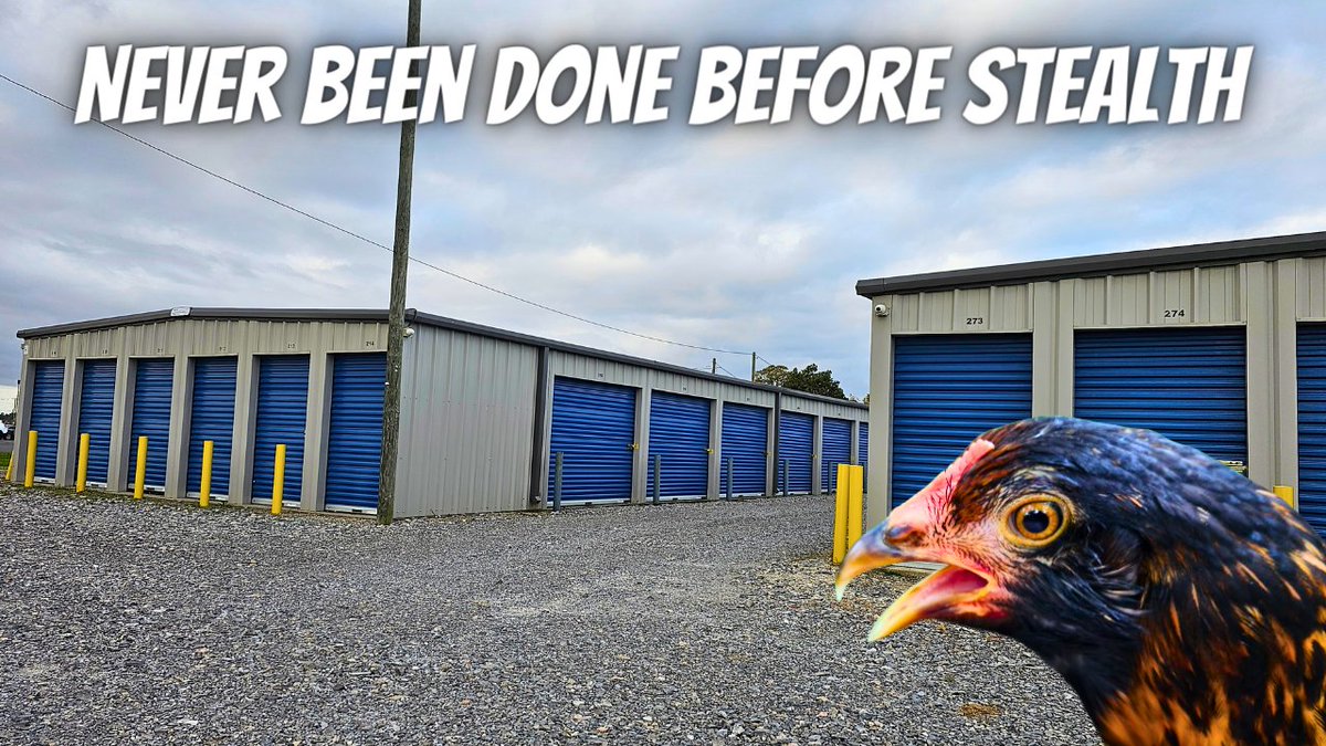 OUnsupervised's tweet image. youtu.be/UuJWDFEd81E
Never in the life of stealth campers have someone stealthed with a one legged chicken.  Saw a storage unit and it was about to rain, what could be better?  #StealthCamping #WildCamping #Camping #Chicken #StealthWithAChicken #OutdoorsUnbsupervised