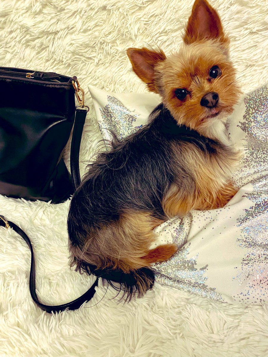 Adrian Matyasik tweet media