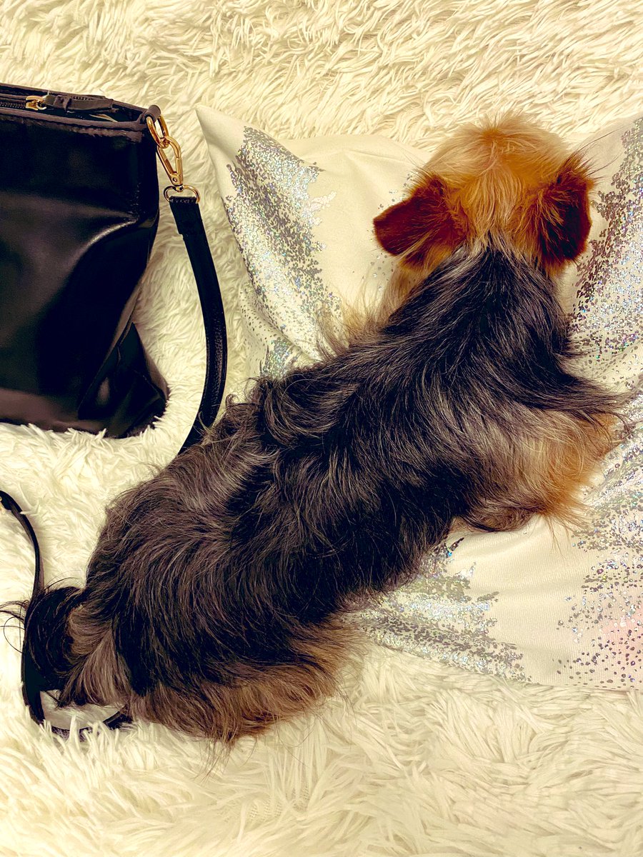 Adrian Matyasik tweet media