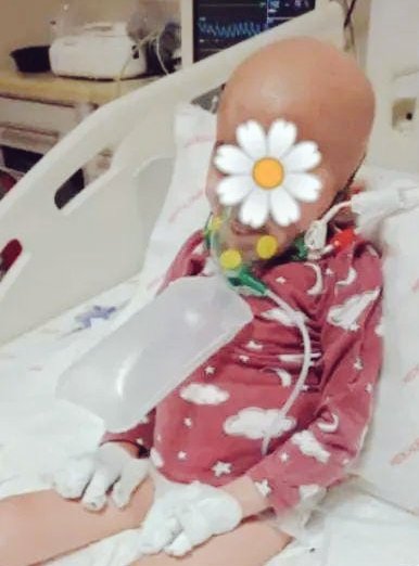 Minik Eylül'ün size ihtiyacı var!!!
Haydi ona umut olalım ölmesin!

Bahçelievler Medical Park Hastanesi'nde lösemi hastası bir miniğe acil A Rh+ kan ihtiyacı vardır. Durumu ciddidir ve düzenli ihtiyaçtır.

0530 952 10 49