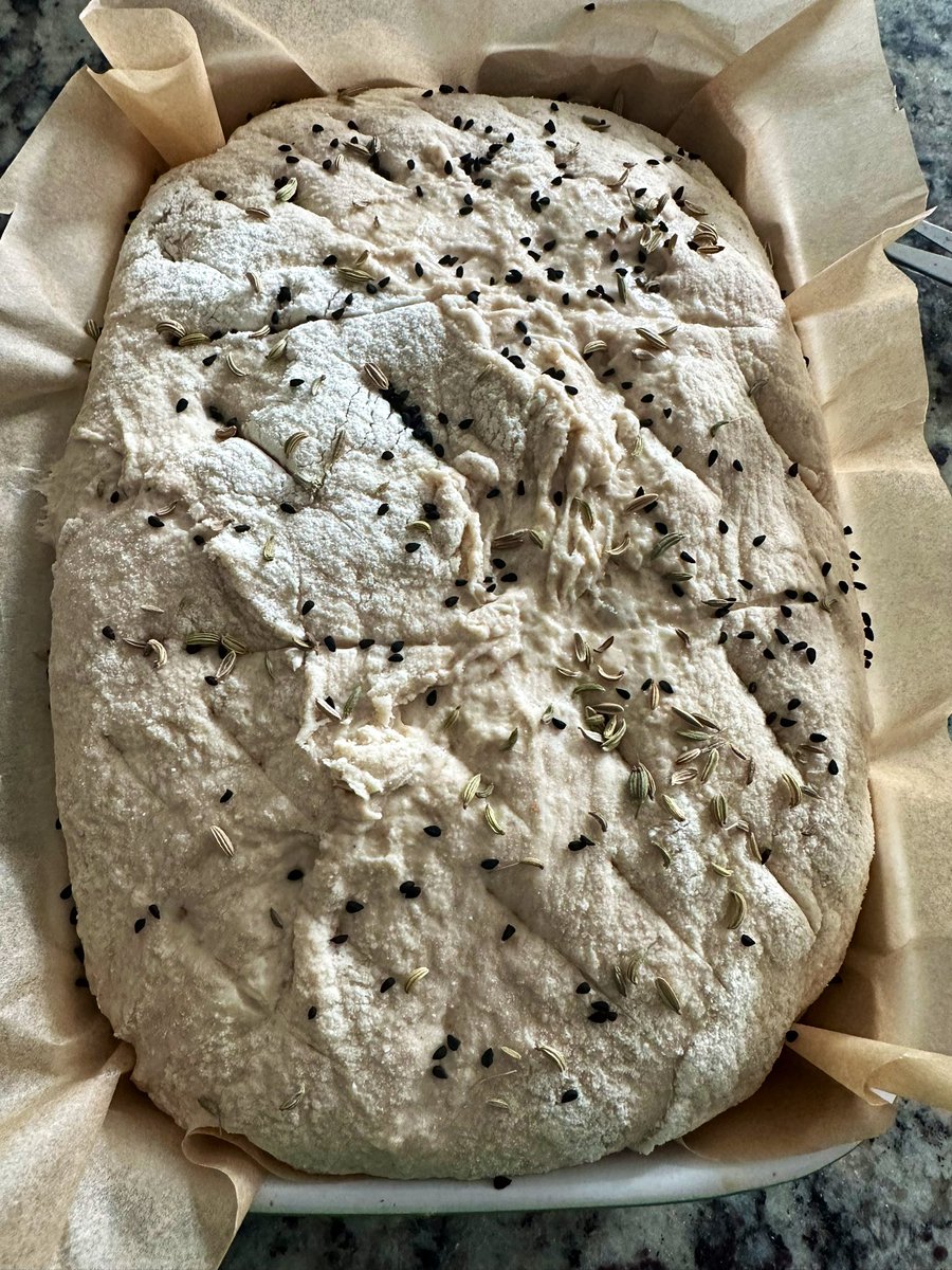 Update: the sourdough loaf came out decent despite the slight mishap with ripping on the top instead of scoring… 😂🥲

Tasty loaf, ready for avo toasts! 

#sourdough #yeast #sourdoughstarter #bread #sourdoughbread #goodbread #avotoast