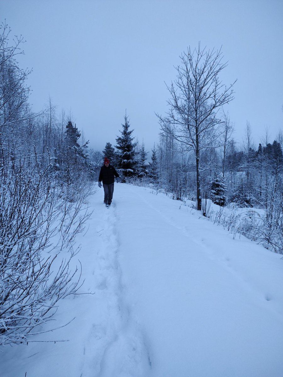 TaijaVigilia tweet media