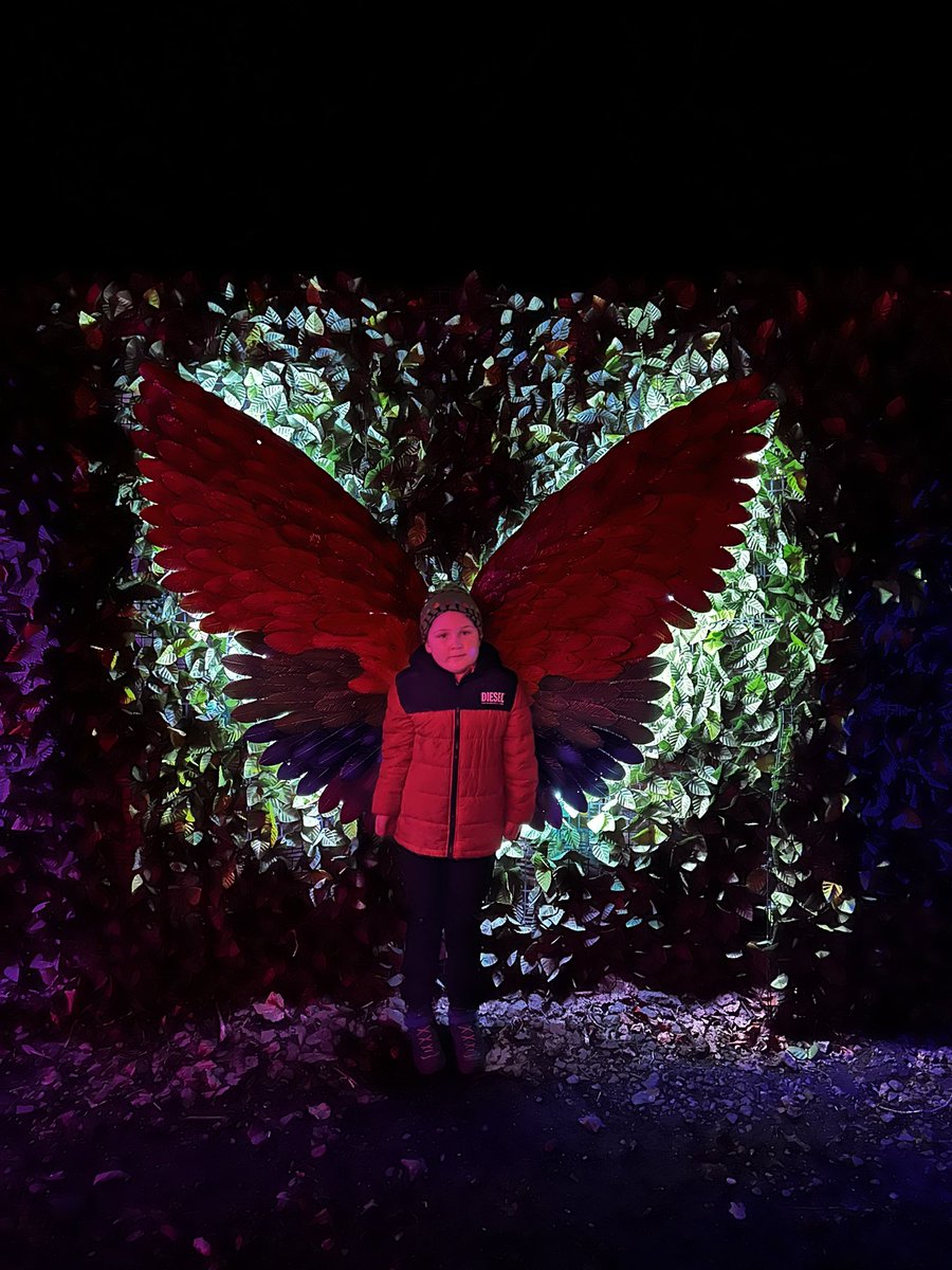 alfagaishy's tweet photo. #Forestoflights https://t.co/aQgtfLQdVh