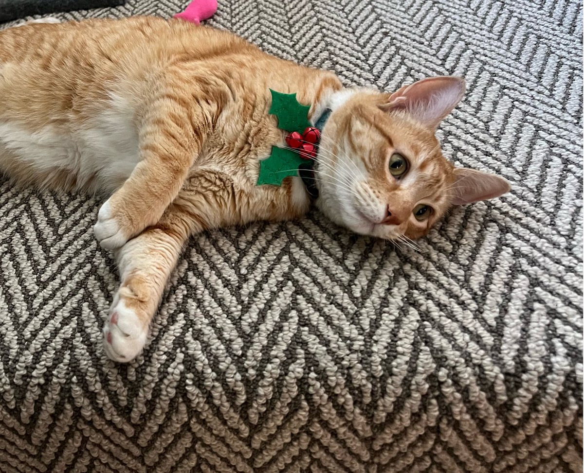 They got me. I’ve been jingled