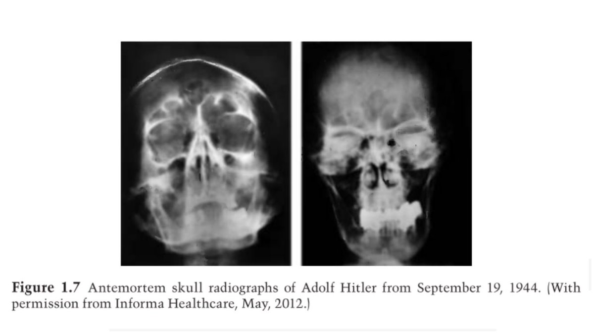 RBASE (@ruffneckbased) on Twitter photo 