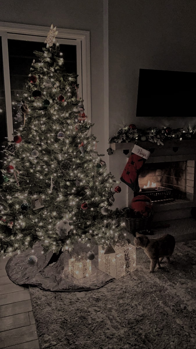 venusvilleneuve's tweet photo. Christmas Eve with my babies 💝 https://t.co/EMdkRbA7WS