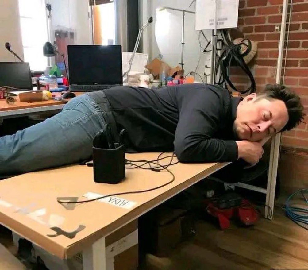 Not Elon Musk tweet media