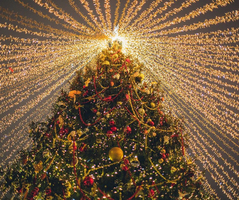 FresnoStateMBA's tweet photo. Happy Holidays! https://t.co/UVmQN3FPNP