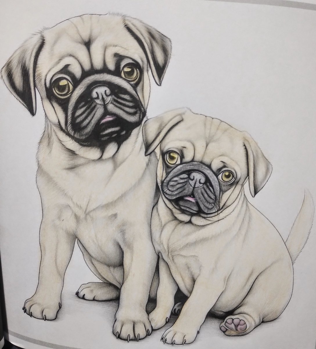 Hubbybubble's tweet image. Tonight's effort #DarkNights #colou