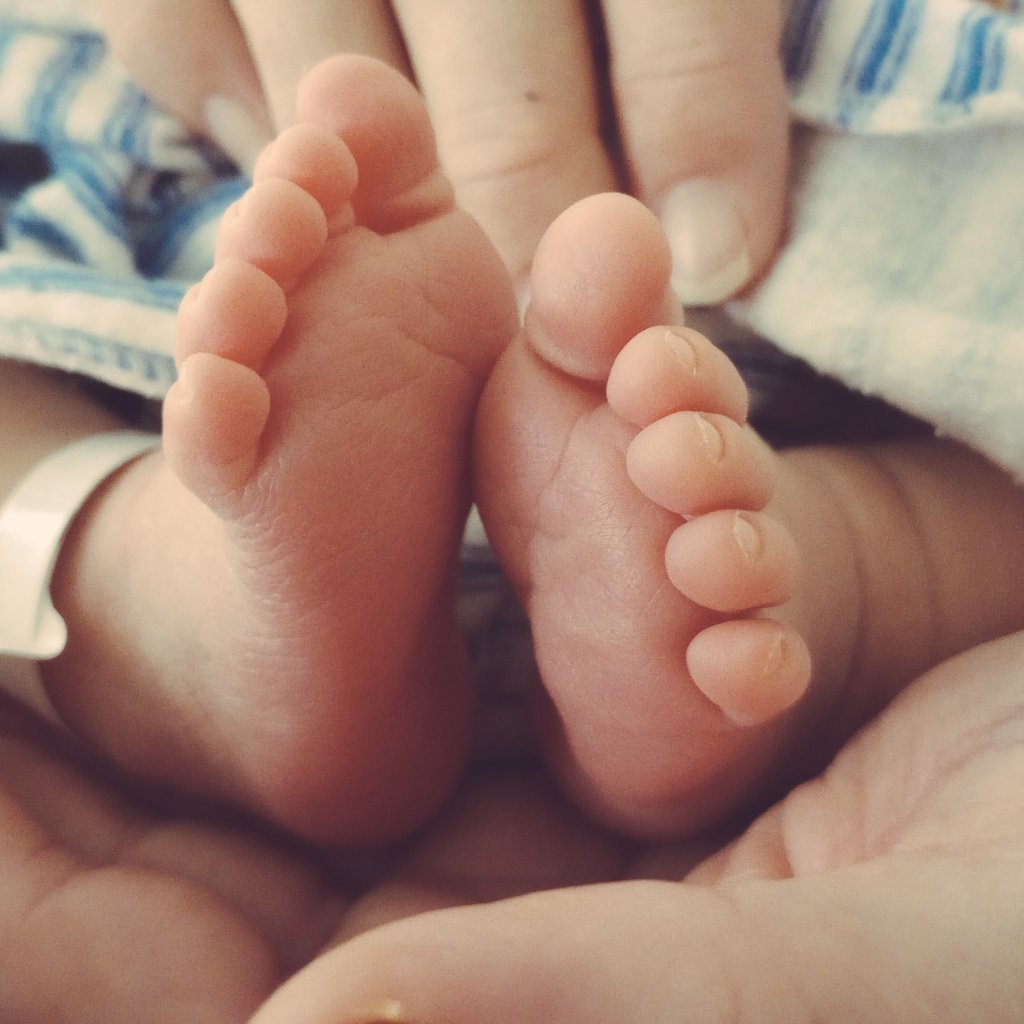 Dr Hanne Nielsen tweet media