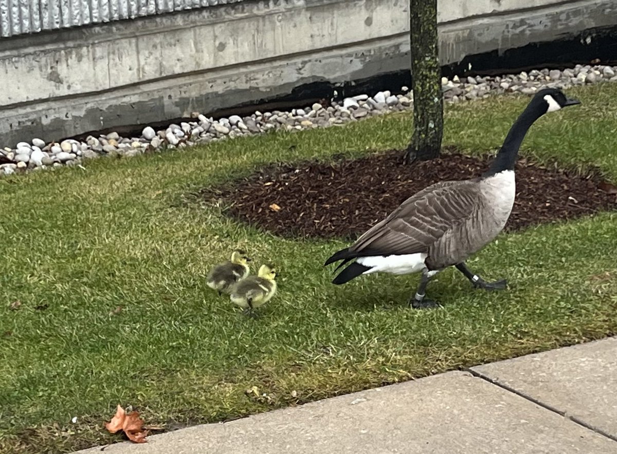 This warm weather is confusing