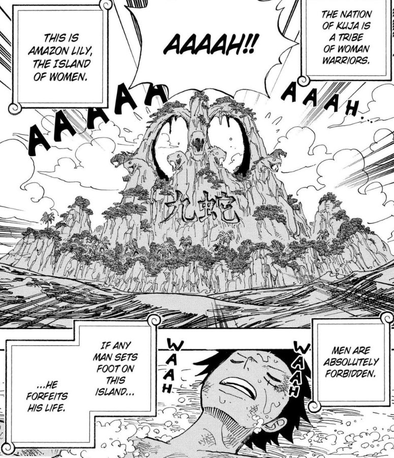 Deicide talks One Piece ☠️ tweet media
