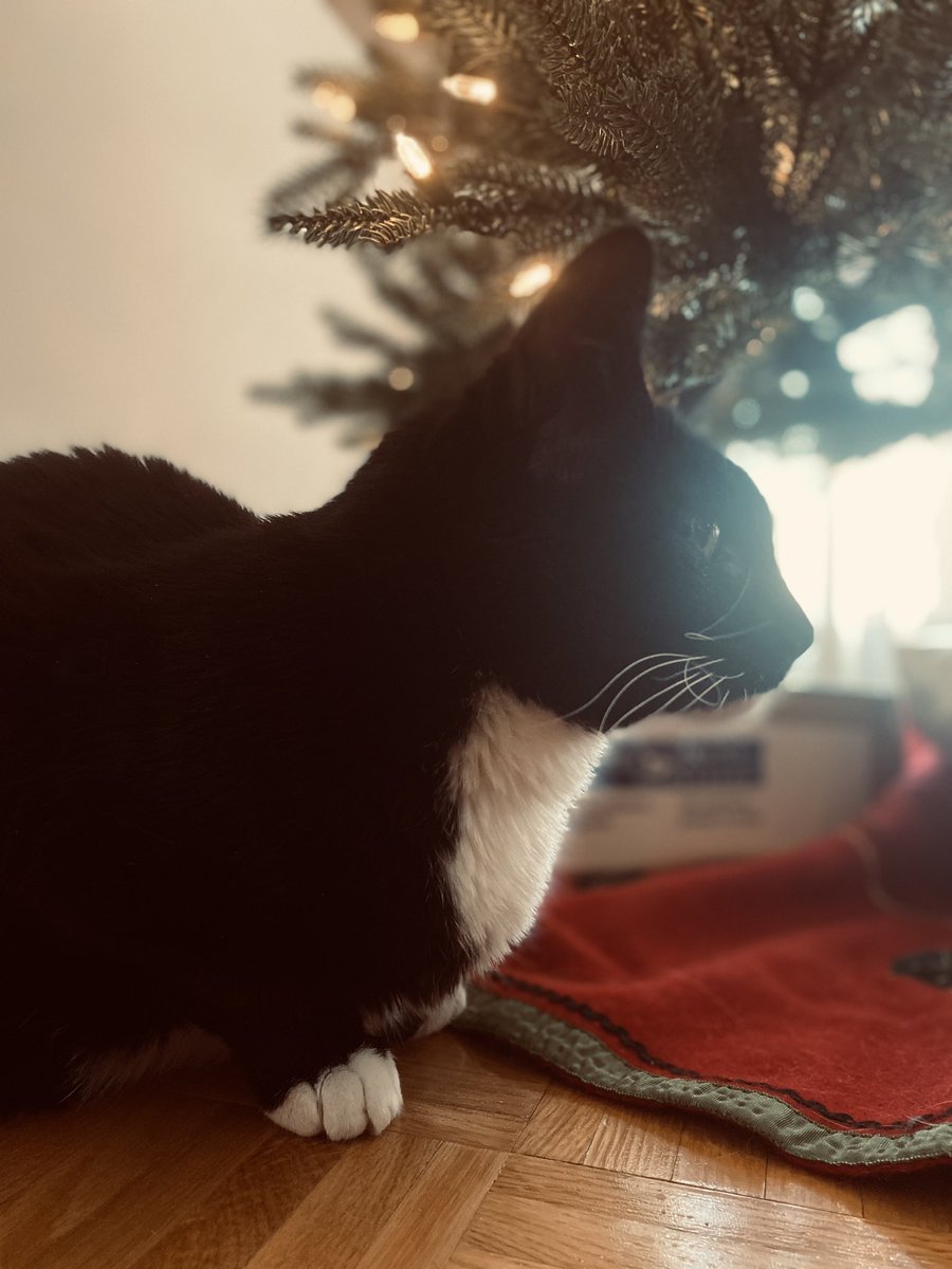 Popping in to wish you a very Merry Christmas, my friends. May your season be merry and bright and, as always, filled with love and treats.